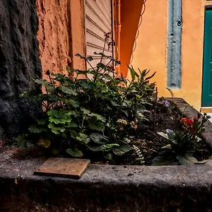  Appartement Little House